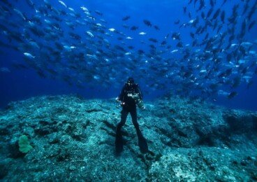 Certified Dive